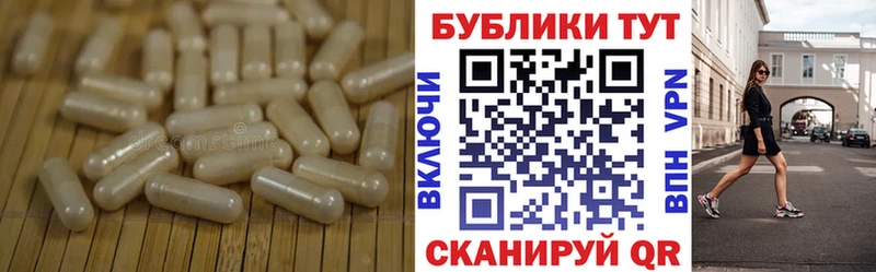 Ecstasy бентли  Тула 