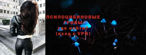 таблы Заводоуковск